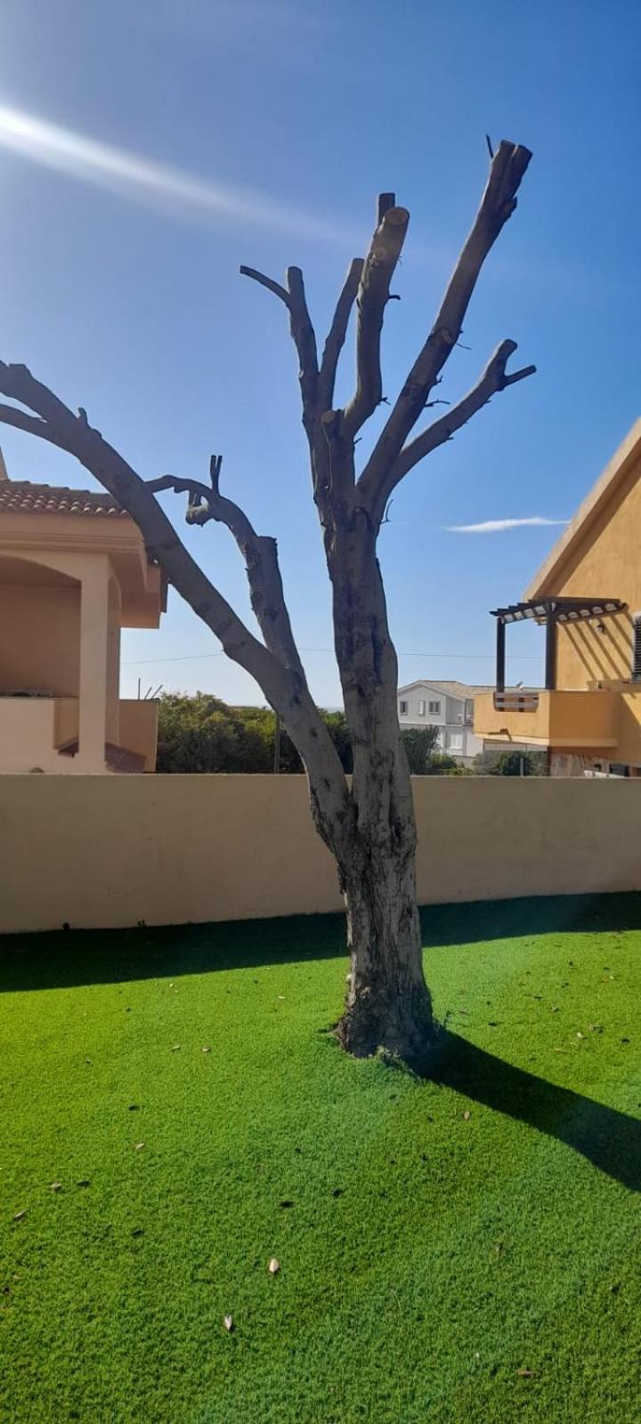 Appartamento Residence Tartaruga 3 カステルサルド エクステリア 写真